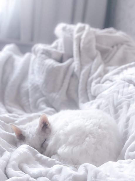 Nev étoile hd photo