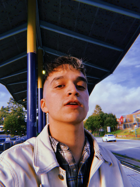 Scratch the Pup star du porno hd galeries