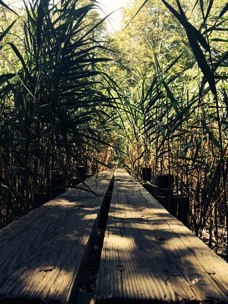 ChocolateThunder joli modèle galeries