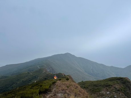 Aninsey star du porno nue img