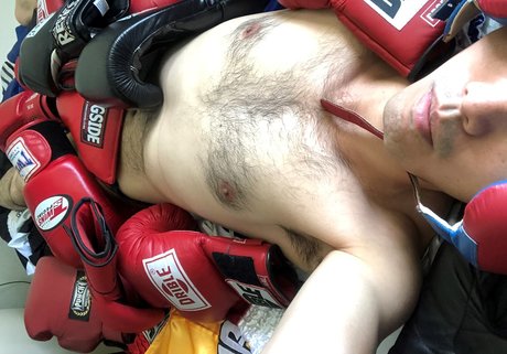 Joeboxerbr joli modèle galeries