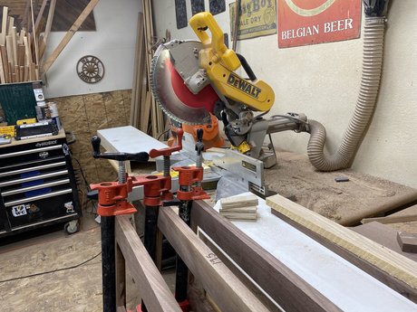 Youngbuck1924 haut étoile collection