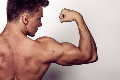 Alpha Lord Levi étoile érotique photo