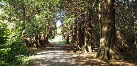 Dick Daily star du porno gratuit galerie