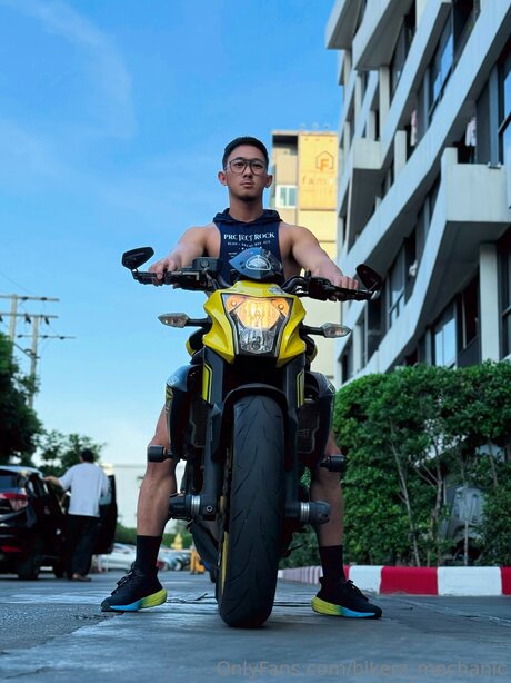 BANK belle star du porno collection