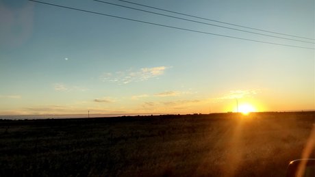 Birch babe modèle de haute qualité collection