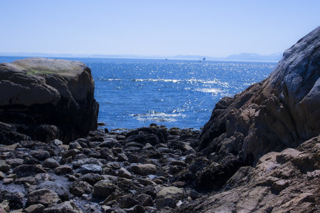 _nnz00 étoile chaude galerie