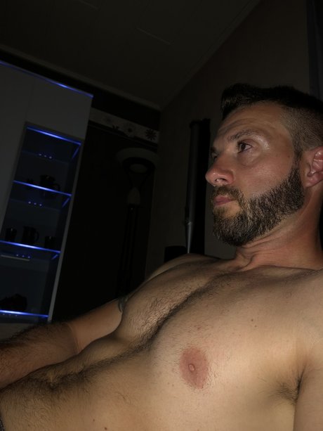 Nino DG jolie star du porno images