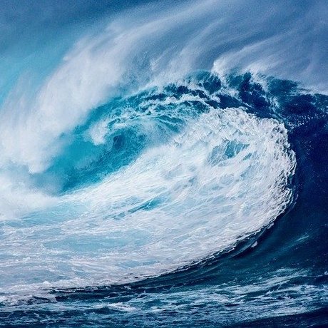 Ninja27 étoile sympa image