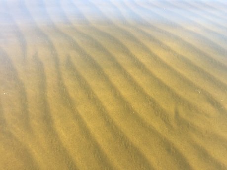 Nina NorthStar modèle de sexe img