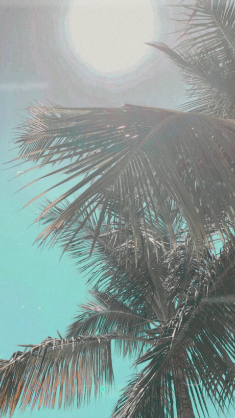 ninaalexander17 modèle sympa des photos