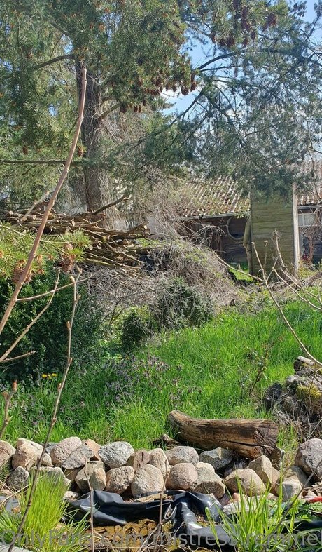 mistress remmel joli modèle images