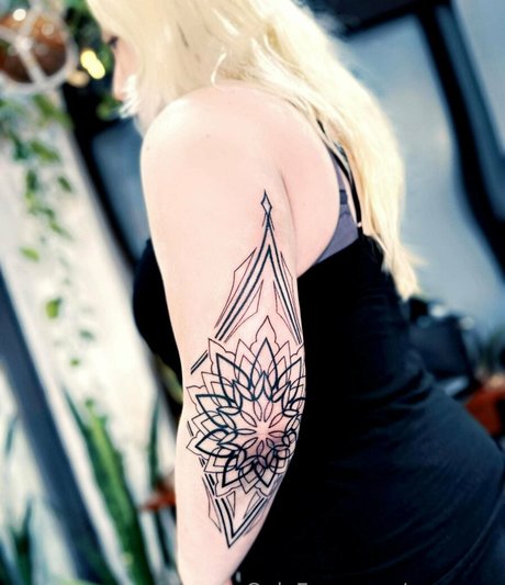 p enrose étoile nue archive