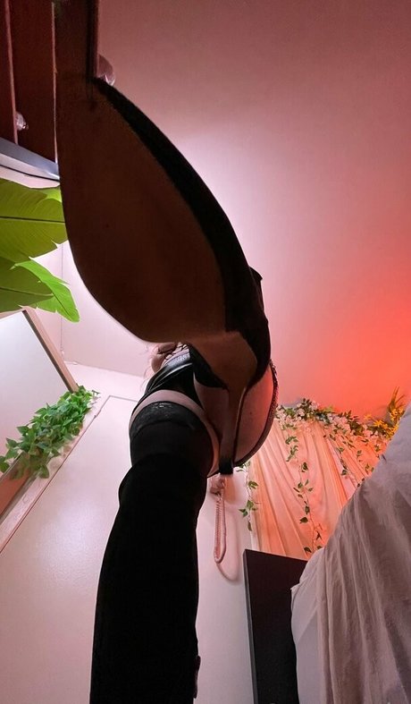 moyufree étoile exclusive img