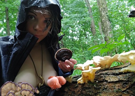 freesexypsychedelic star du porno hd collection