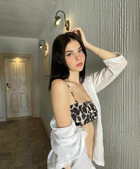 chaton courbé onlyfans art photo