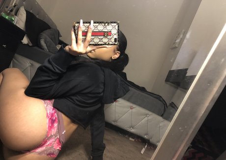 officiallyariaa Fotoaufnahmen