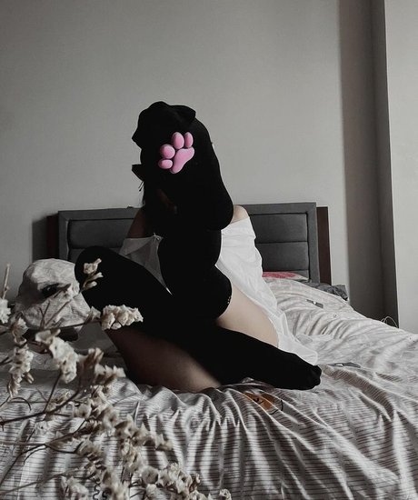 leezipotato meilleure étoile collection