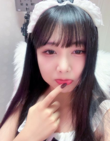 wngml774 meilleure étoile collection