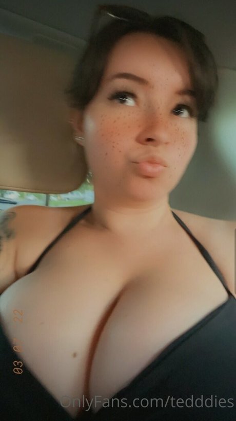 Tedddies étoile de haute qualité image