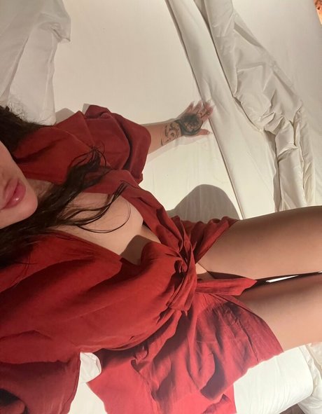 Heidikinnns modèle meilleur image