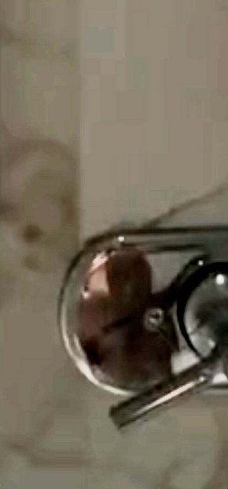 Annxhy étoile de l'art photos