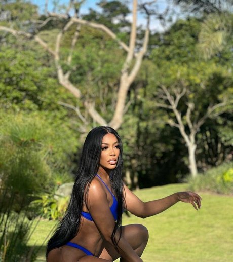 Porsha Williams étoile exclusive img