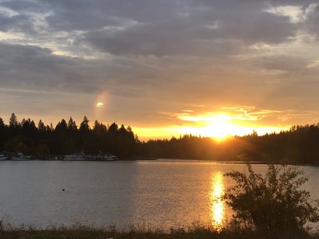 Nova Soul étoile érotique image