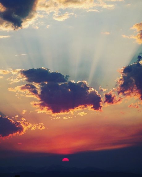 NO FACE NO TRACE star du porno xxx galerie