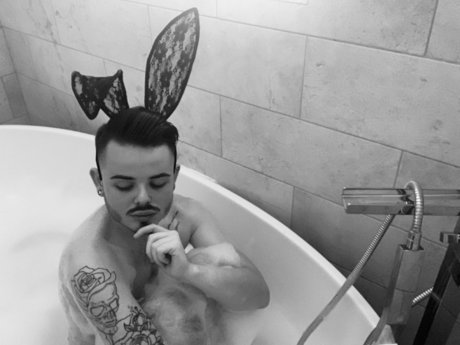 Alfey D curtis_ modèle meilleur image