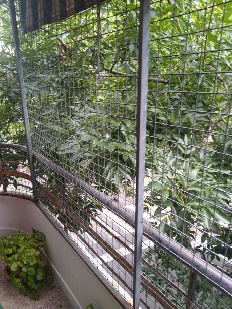 alejandro b jar star du porno de haute qualité collection