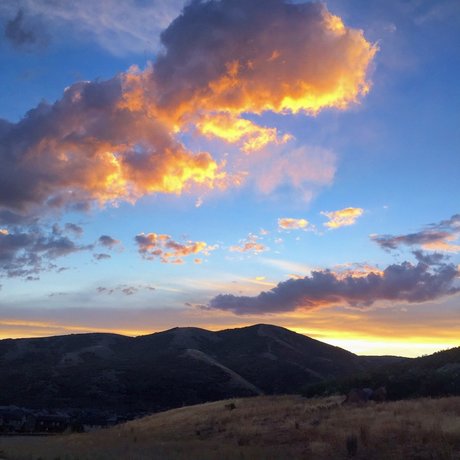 Alexander Mecum modèle hd img