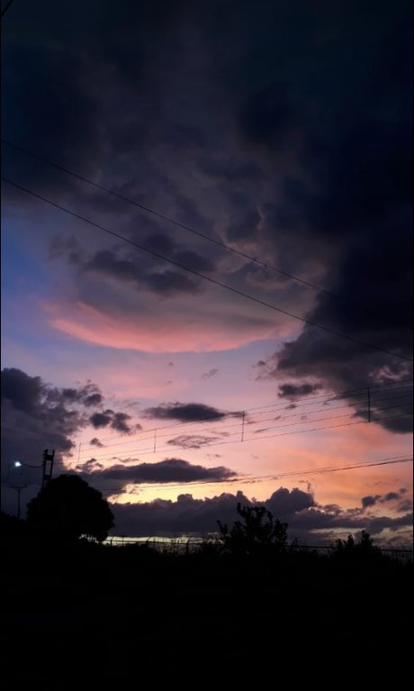 Alondra Su rez mannequin photos