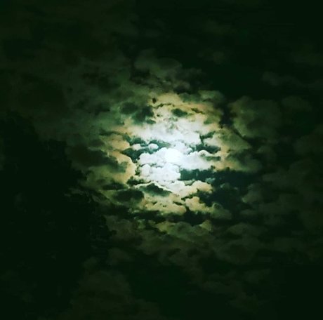 MelaninHellion modèle meilleur image