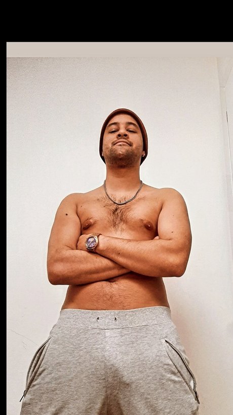 Toro Latino belle étoile image