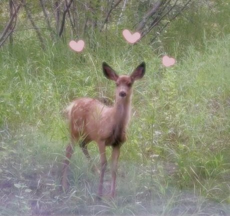 pieds de grand-mère uniquementfans hd parfaite photos