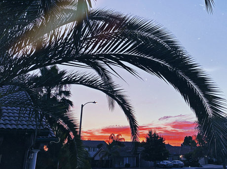 Newdsconnoisseurs meilleur modèle galeries