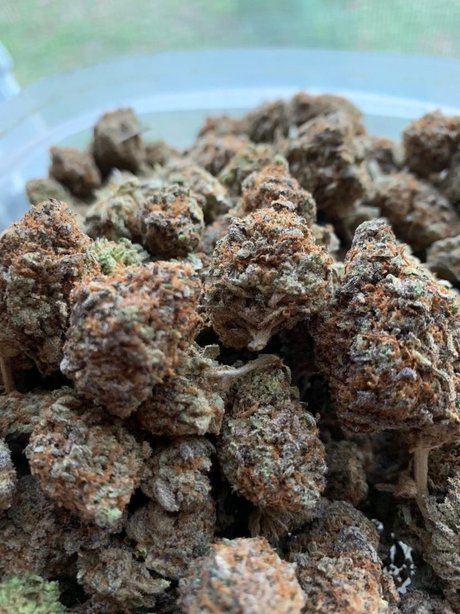 OgMack23 star du porno érotique collection