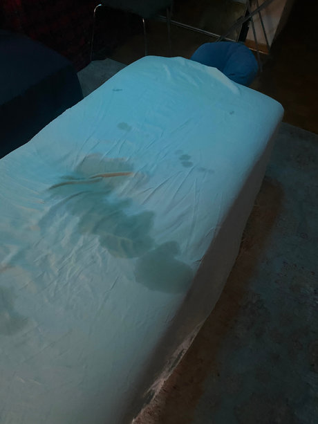 Adventures of Bo xxx star du porno images