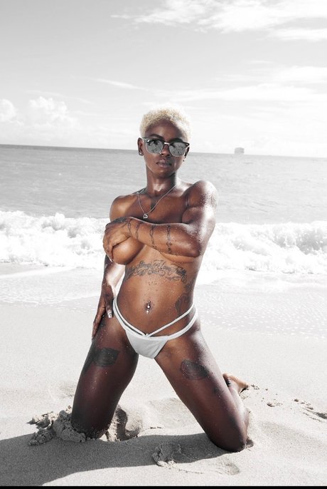 African Delight_ star du porno érotique image