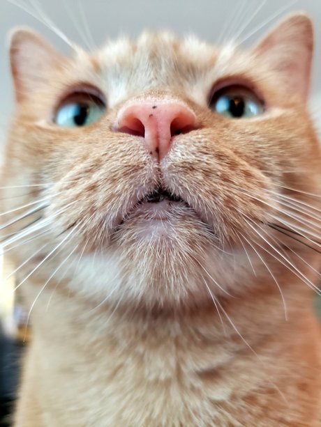 onlytabs étoile de l'art galeries