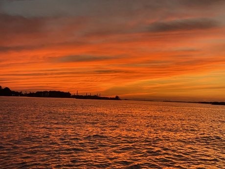 Rachael Nicole art star du porno galerie