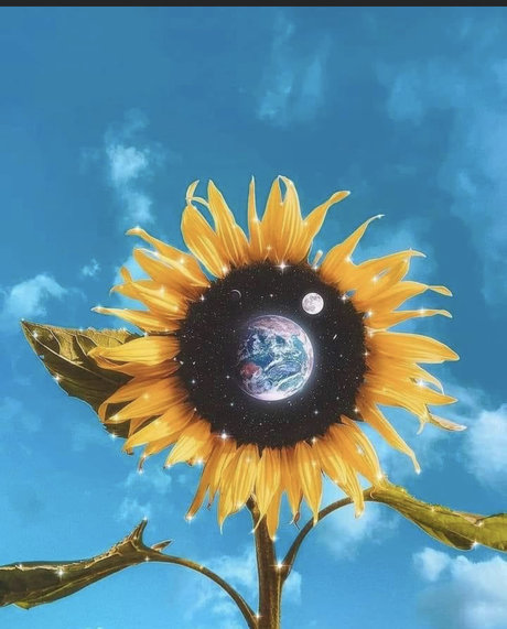 NakedArt étoile gratuite archive