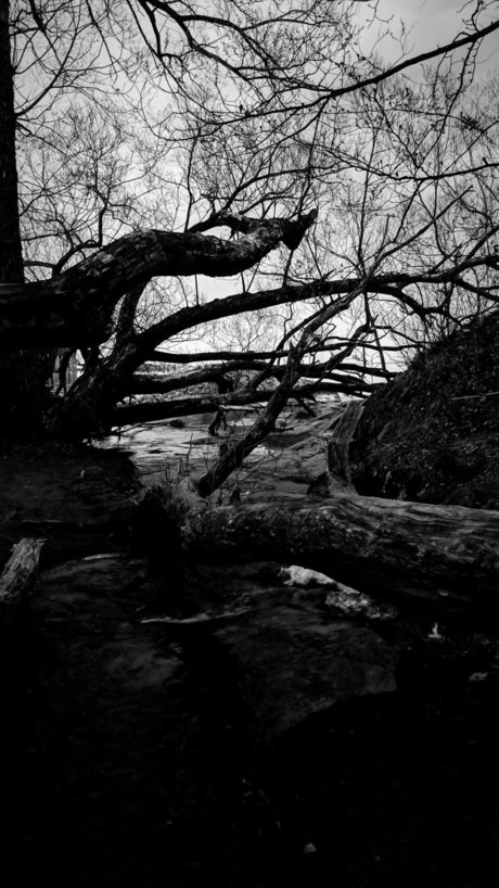 Faceless actrice adulte galeries