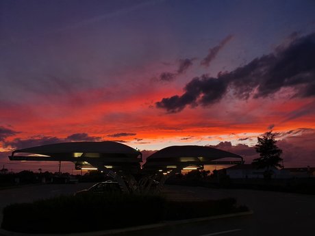 Os Mafiosos_ actrice érotique collection