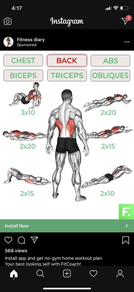 Orlando Majic modèle photos