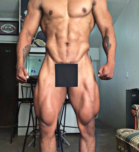 Orlando art star du porno collection