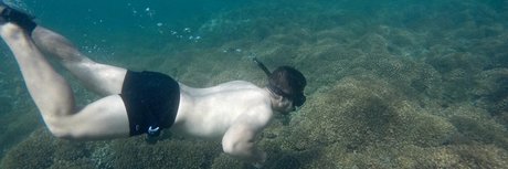 G Araiza Alan modèle images