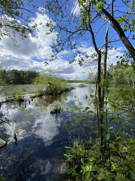 Lauren Wren xxx étoile images