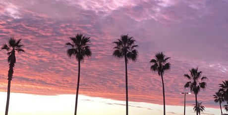 RoyTheCat actrice érotique image